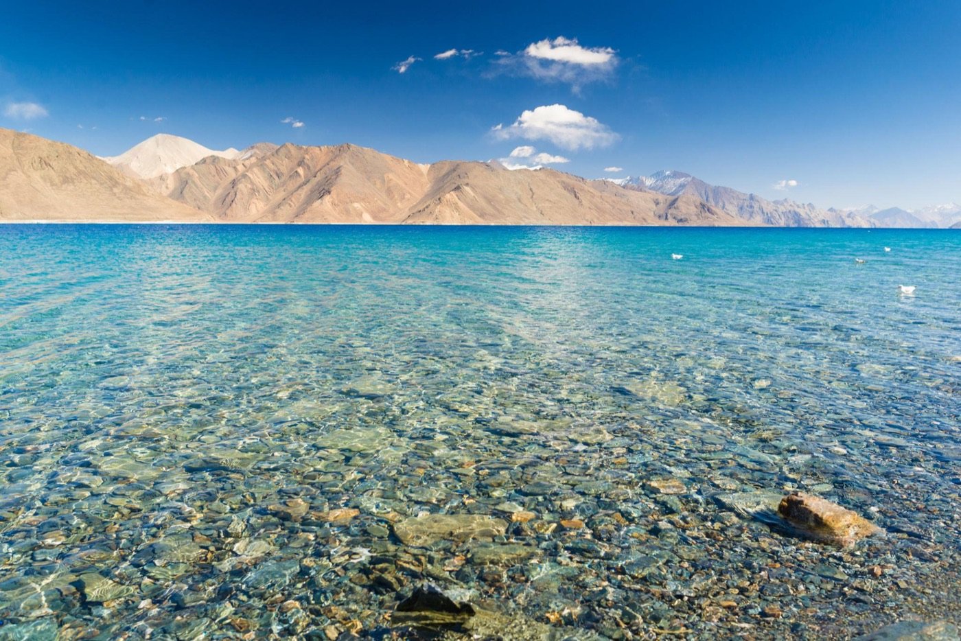 How to Plan Your First Trip to Leh-Ladakh photo 3