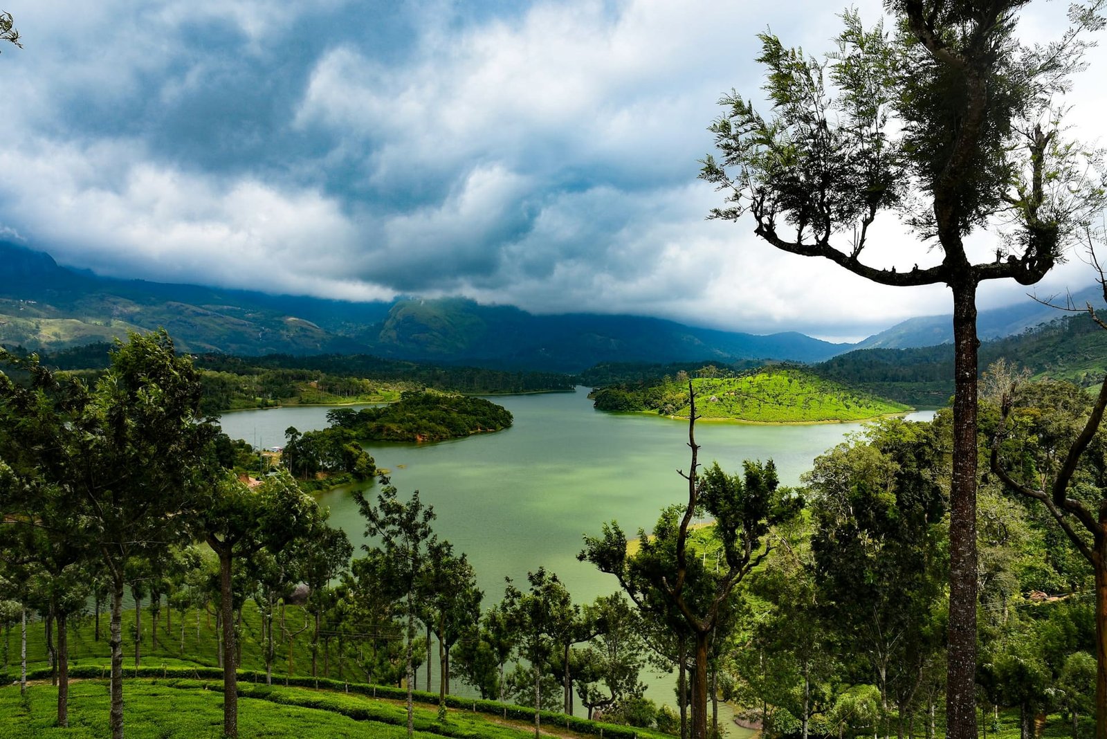 The Ultimate Guide to Kerala Backwaters photo 3