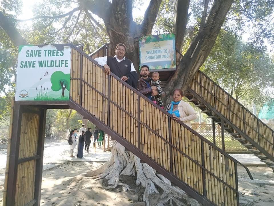 Family at Chhatbir Zoo treehouse, Chandigarh